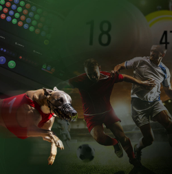 BetLabel Acumulator